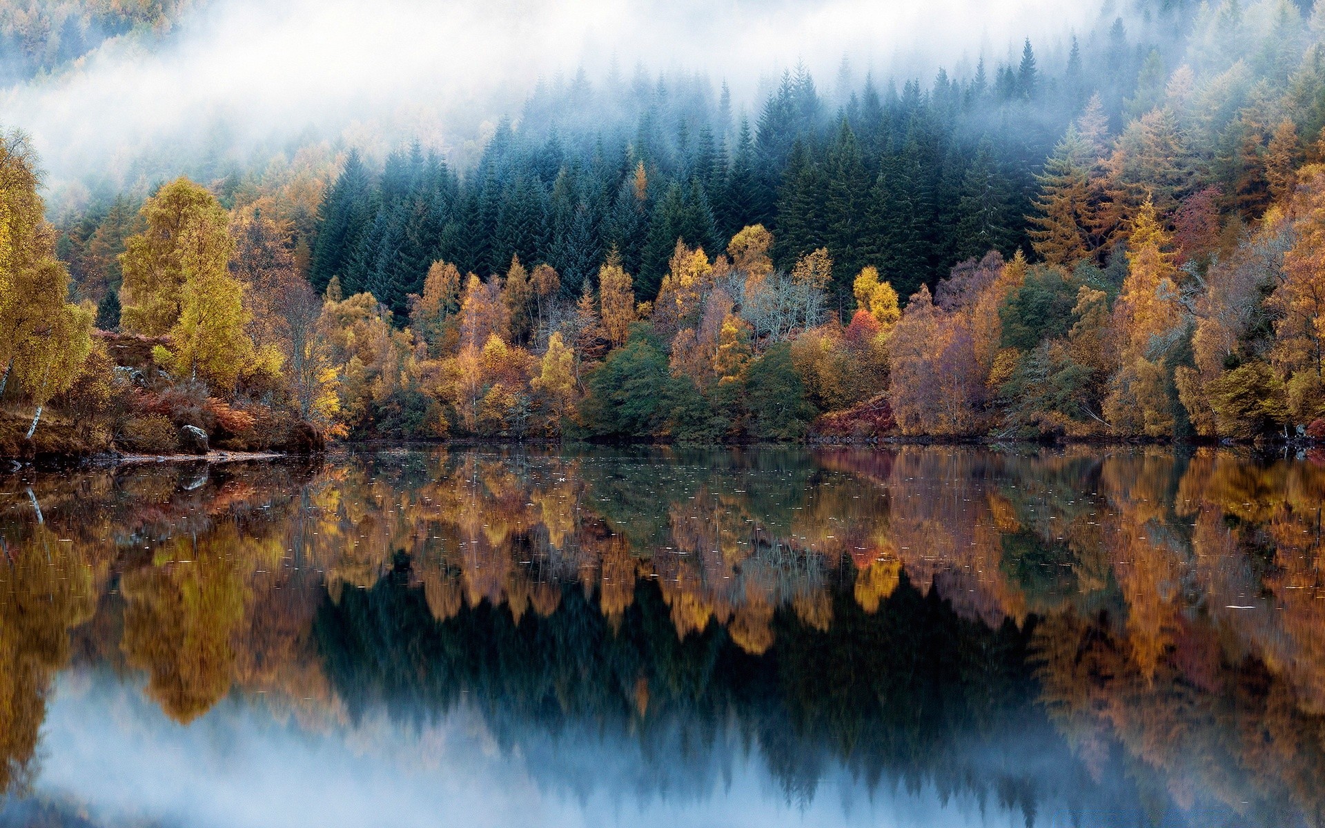 bosque otoño agua paisaje árbol madera escénico reflexión río lago naturaleza al aire libre luz del día montaña viajes medio ambiente parque temporada hoja