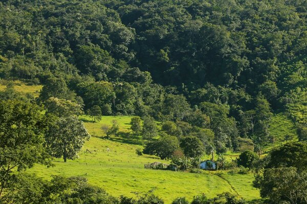 Landscape of a beautiful rural plain