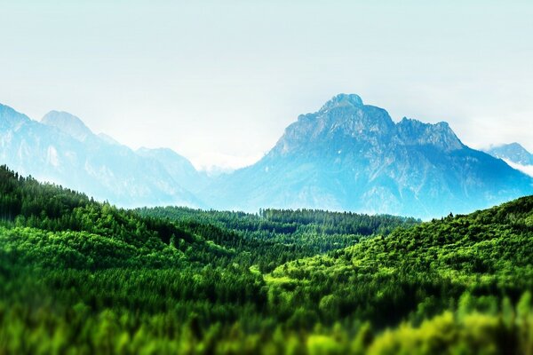 Prato verde sullo sfondo delle montagne nella nebbia