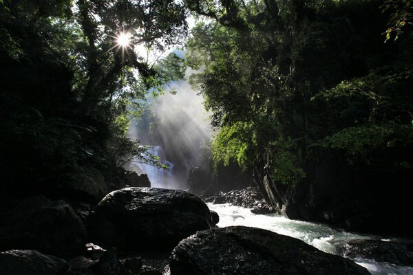 The rays of the sun falling on the water