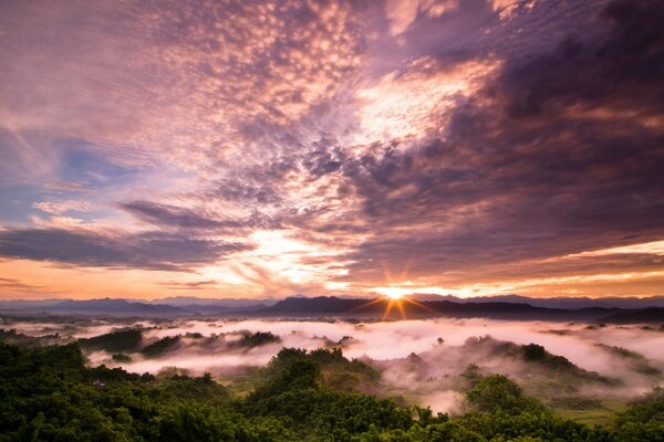 夕阳在森林与美丽的天空