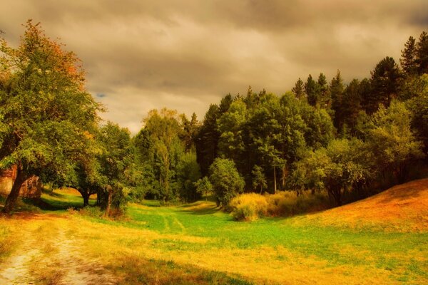 Herbstlandschaft mit Straße unter Bäumen