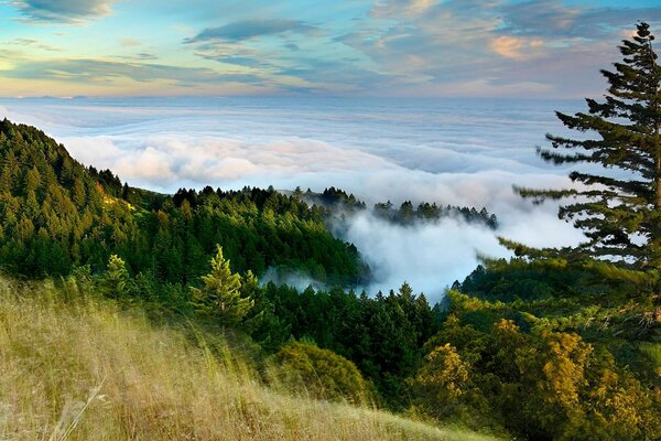 Imagem da natureza no alto das montanhas