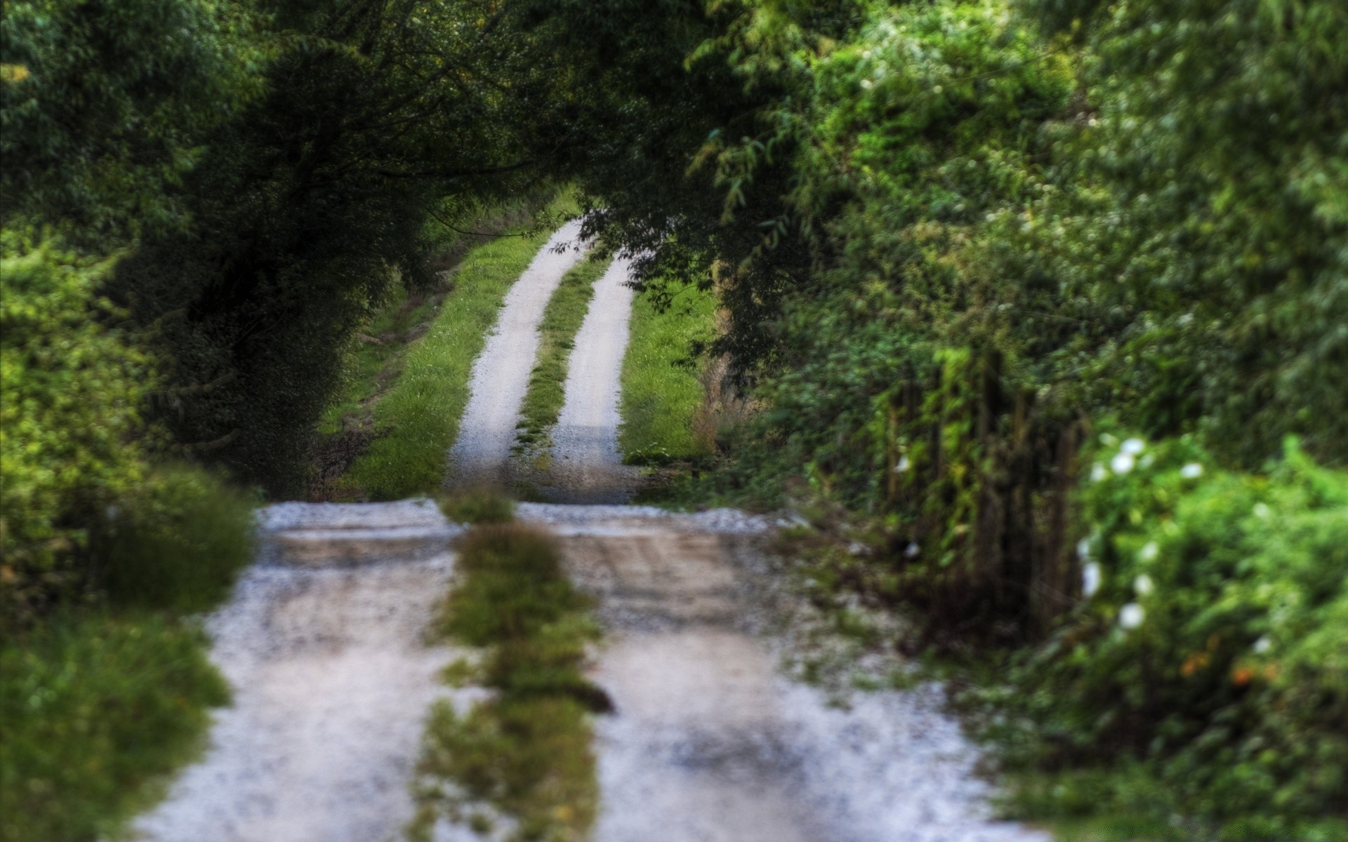 las natura krajobraz woda drewno na zewnątrz liść drzewa środowisko rzeka lato podróż malowniczy park przewodnik bujna flora droga strumień trawa