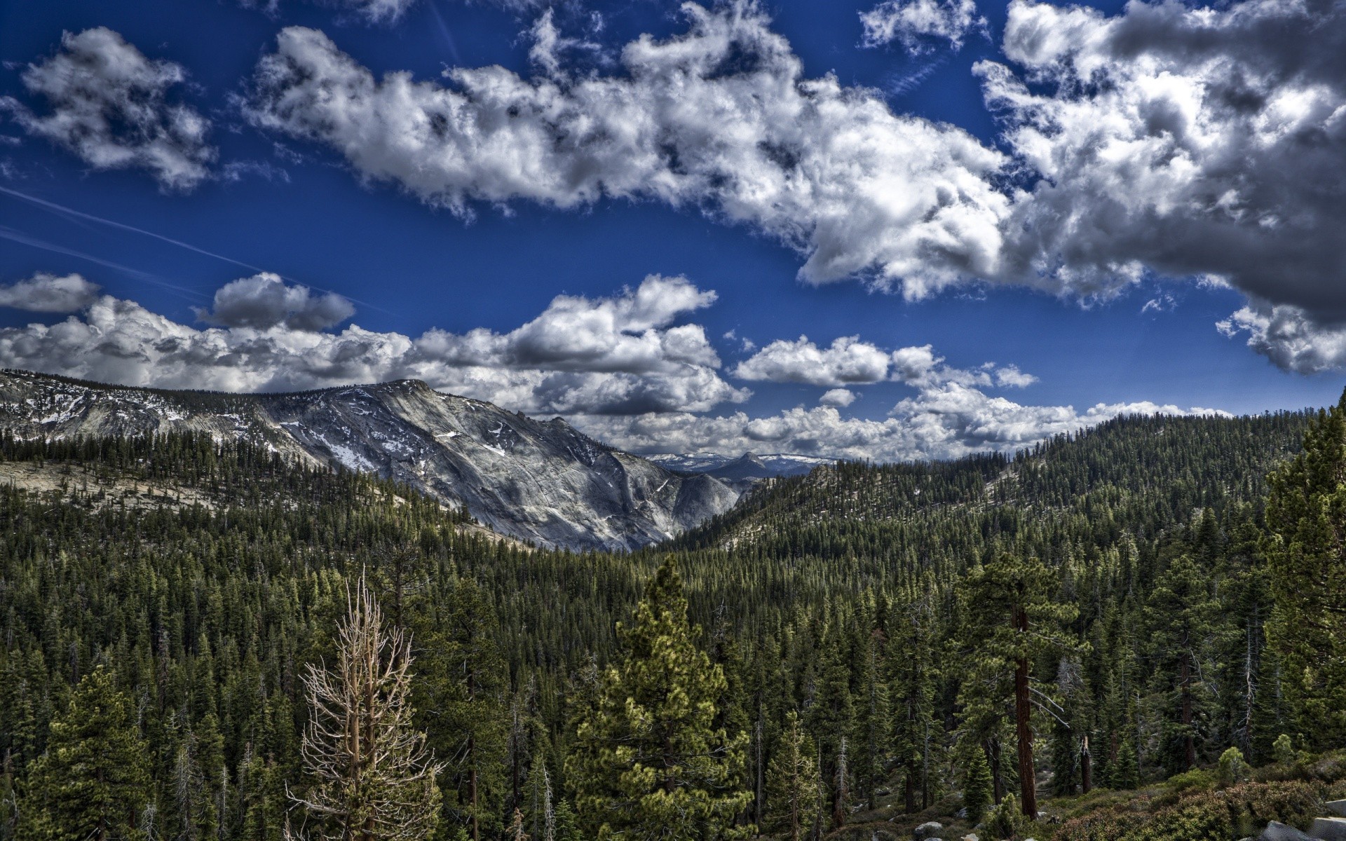 bosque montaña madera nieve paisaje naturaleza escénico árbol pico de montaña evergreen coníferas cielo viajes valle al aire libre colina alto espectáculo pino