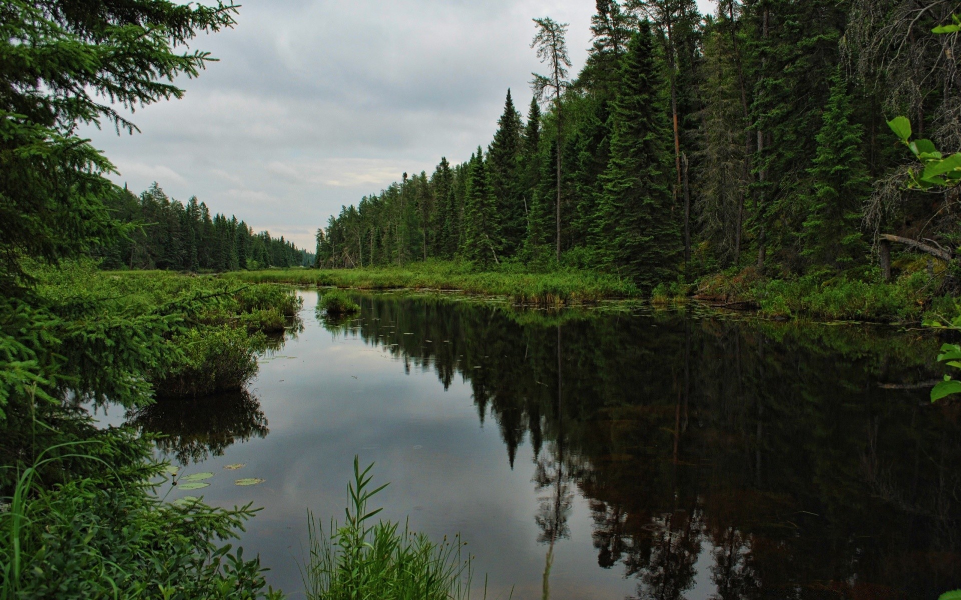 forêt eau en plein air lac paysage nature réflexion bois bois rivière voyage conifères ciel evergreen aube lumière du jour été