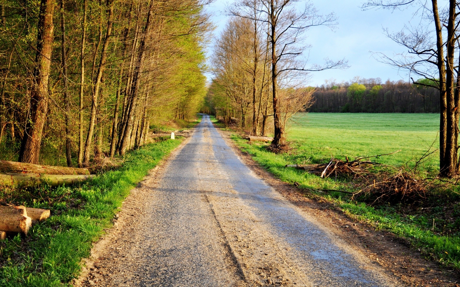 forest wood road landscape tree nature guidance rural fall leaf grass countryside season outdoors country park scenic environment scene fair weather