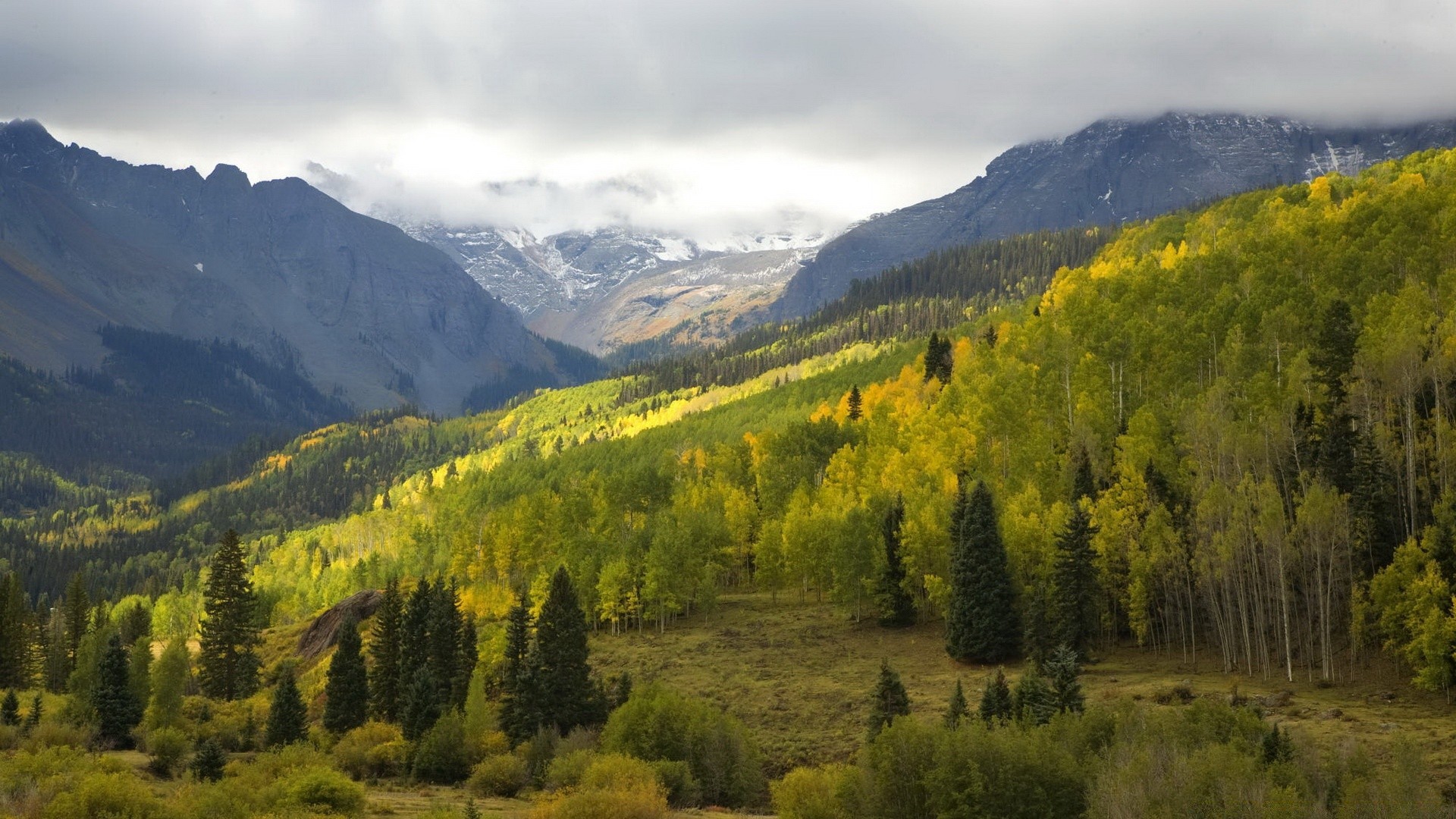 forêt bois montagnes paysage nature scénique à l extérieur arbre voyage automne vallée ciel lumière du jour conifères neige colline evergreen