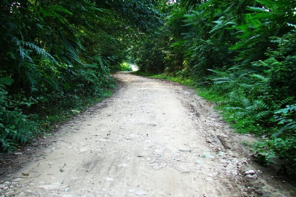 El camino no transitado se lleva a cabo