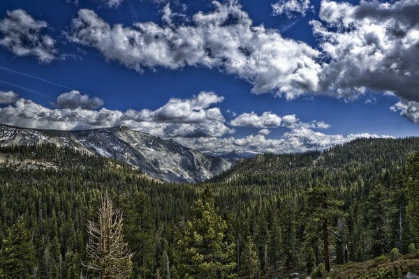 Montañas y bosques en medio de las nubes