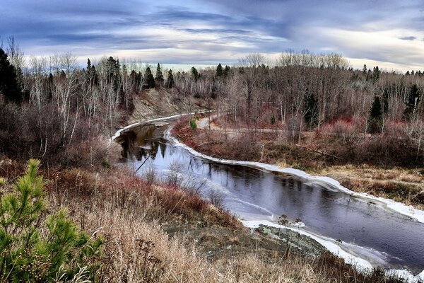 Rivière d hiver dans la forêt sombre