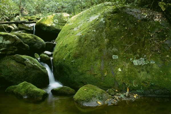 A small waterfall with rocks and my moss