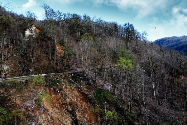 Nature landscape, mountains, forest