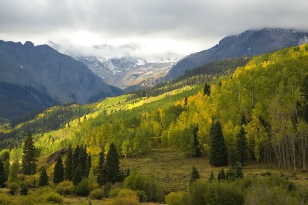 Mountain landscape on the background of the forest