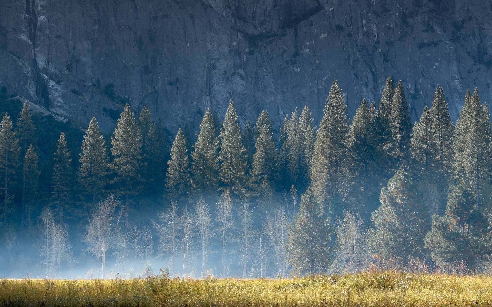 foresta all aperto natura legno albero paesaggio autunno alba conifere cielo nebbia neve acqua scenic campagna nebbia viaggi bel tempo luce del giorno inverno