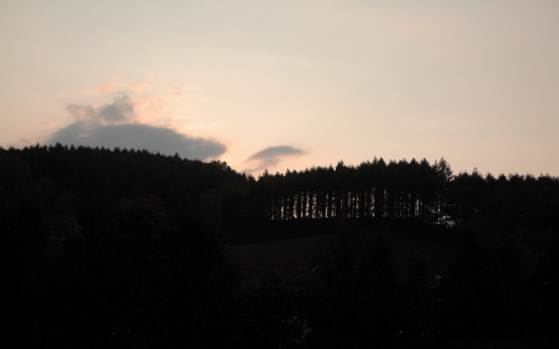 bosque puesta de sol niebla amanecer árbol paisaje niebla luz noche cielo otoño crepúsculo invierno naturaleza al aire libre silueta nieve iluminado luna montañas