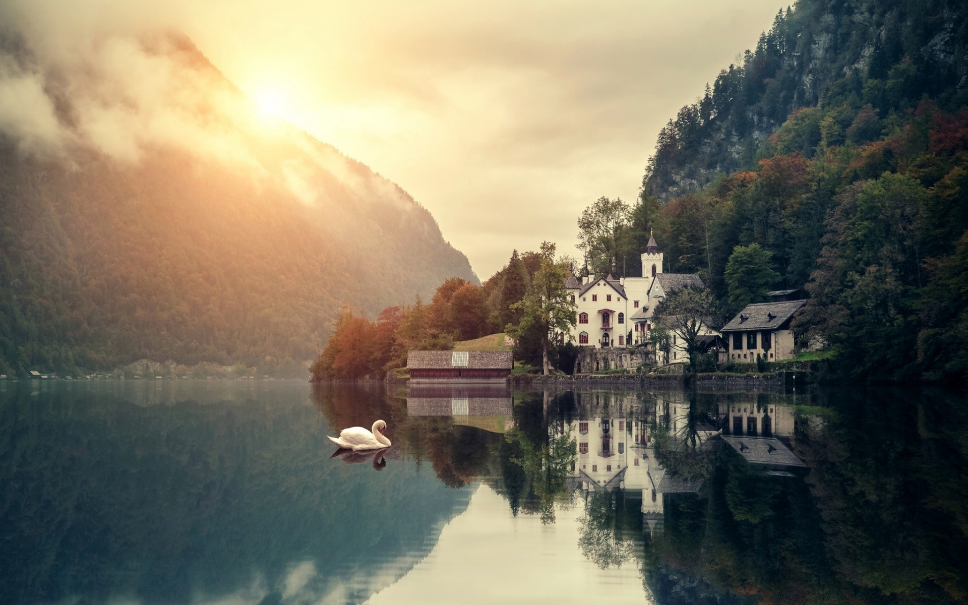 see wasser nebel im freien dämmerung fluss reflexion nebel natur reisen sonnenuntergang landschaft baum himmel