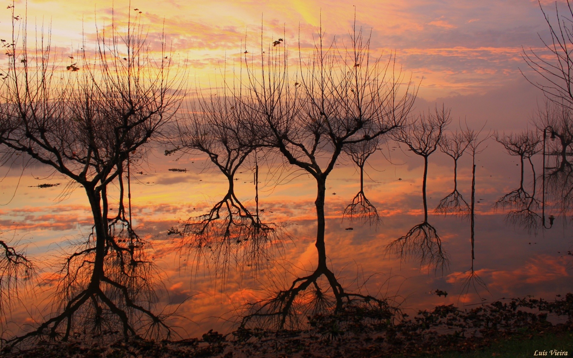 lac coucher de soleil aube paysage arbre nature soir crépuscule silhouette ciel soleil environnement eau à l extérieur automne bois météo