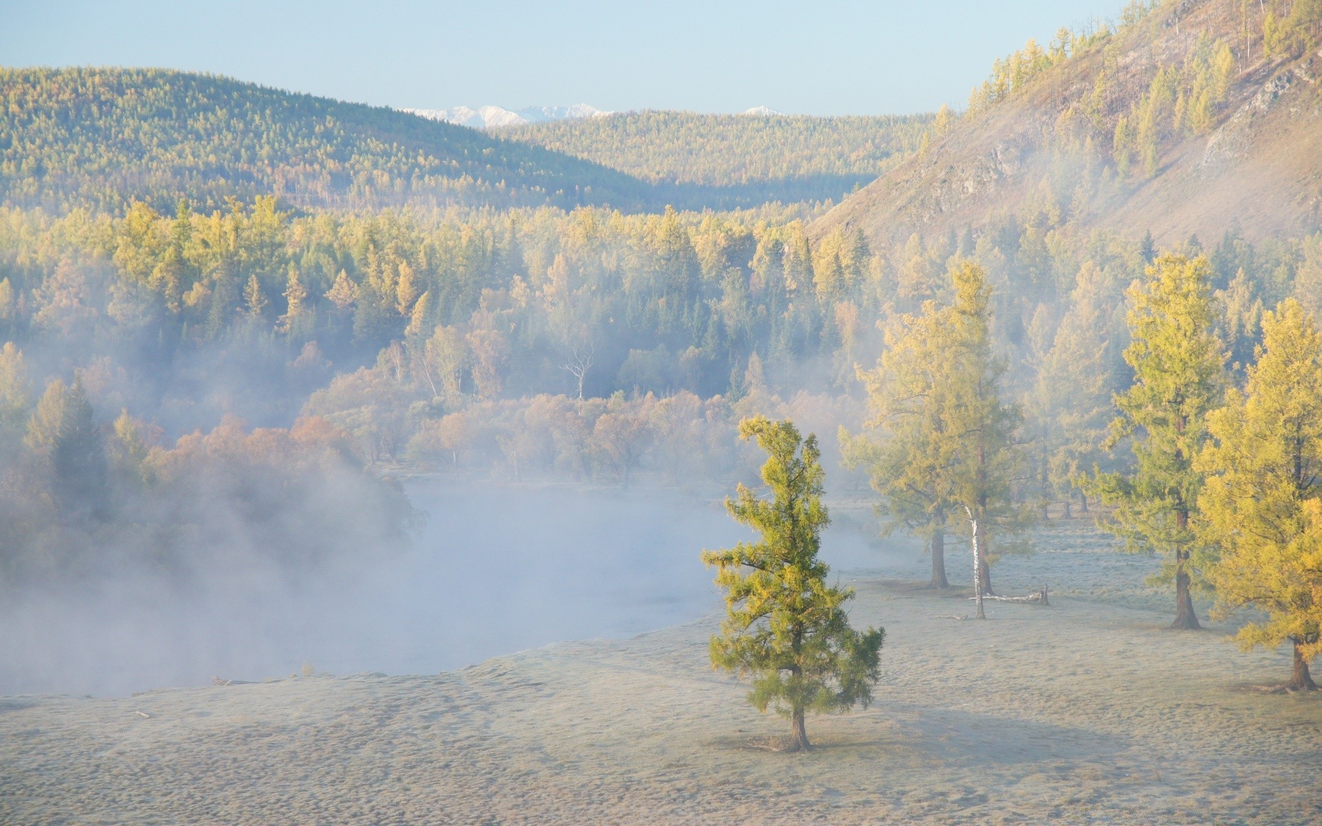 bosque paisaje árbol otoño escénico niebla al aire libre madera montaña viajes naturaleza luz del día niebla cielo agua amanecer parque colina lago