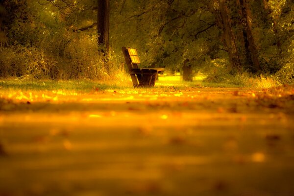 Einsamer Laden im Herbstwald