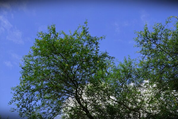 The landscape is natural and the sky is blue