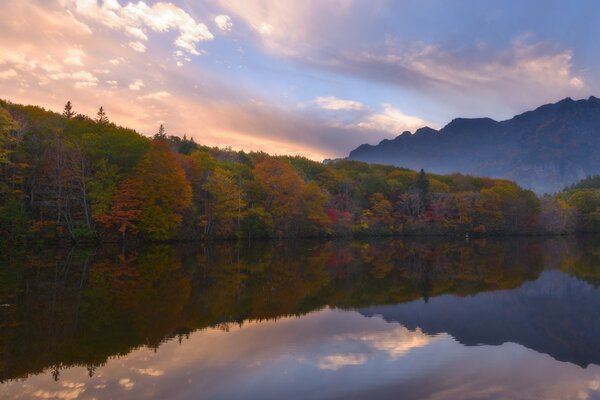 Autumn colors of nature in the reflection of water