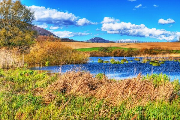 Campo de paisagem de verão com rio