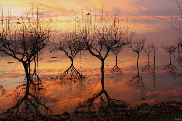 Coucher de soleil sur le paysage du lac