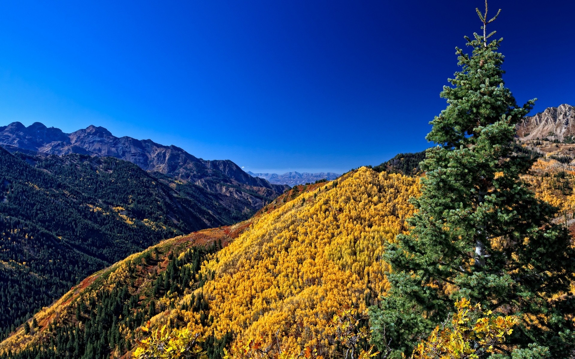 paesaggio all aperto legno montagna albero paesaggio scenico viaggi autunno luce del giorno natura conifere cielo valle