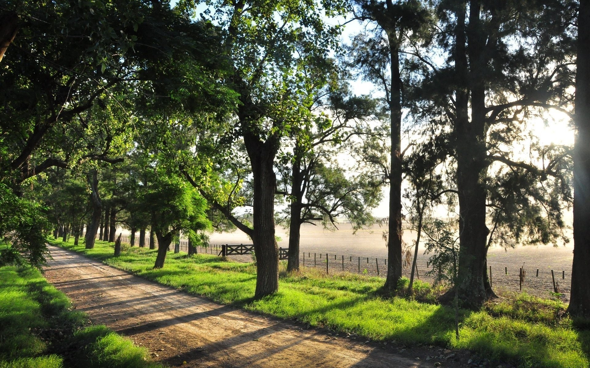 landschaft baum landschaft natur gras holz führung straße park umwelt flora blatt im freien fußweg saison sommer gutes wetter ländlichen zweig garten