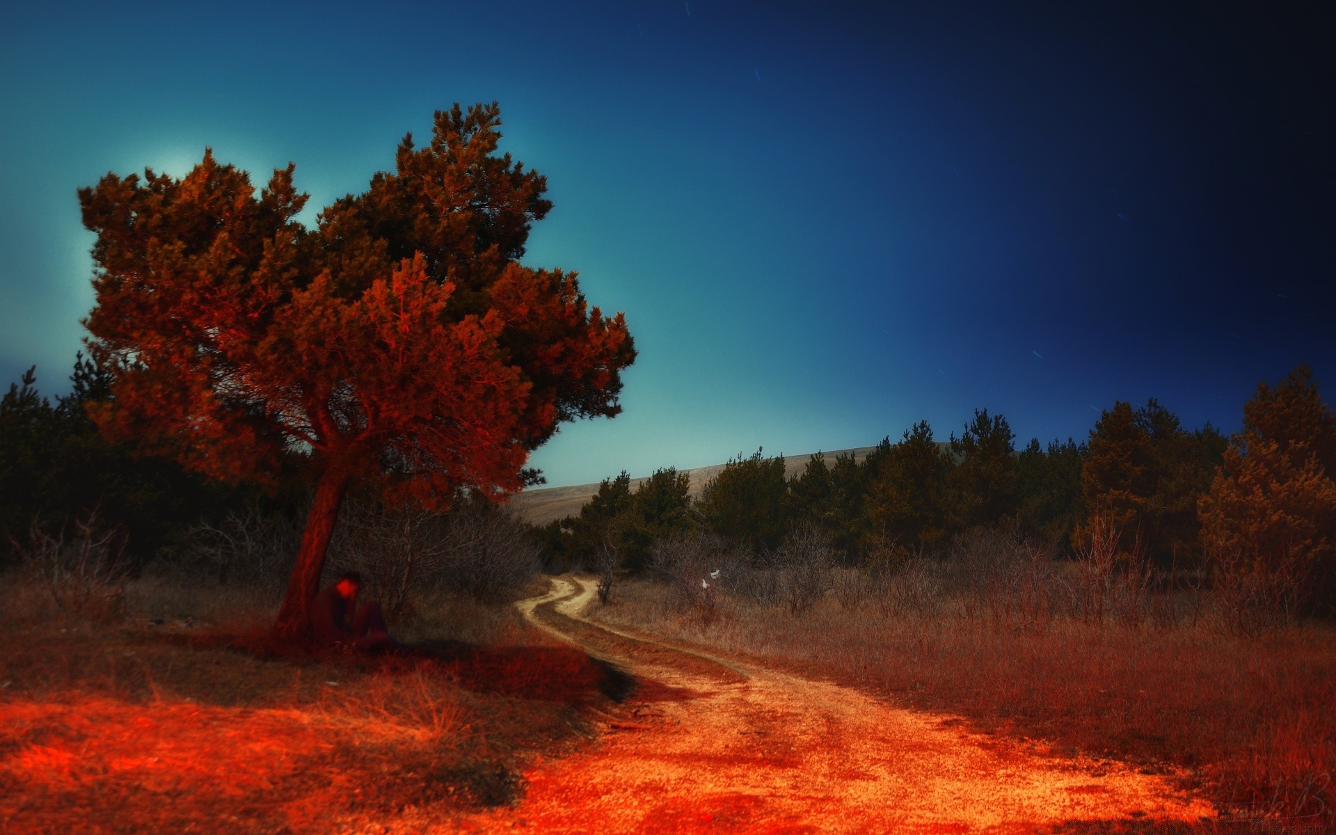 landschaft baum landschaft im freien dämmerung herbst sonnenuntergang abend landschaftlich