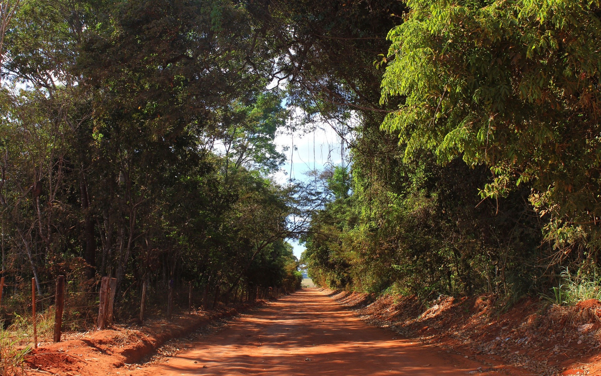 paisagens árvore paisagem natureza madeira ao ar livre folha estrada viagem ambiente parque cênica guia flora luz bom tempo exuberante verão