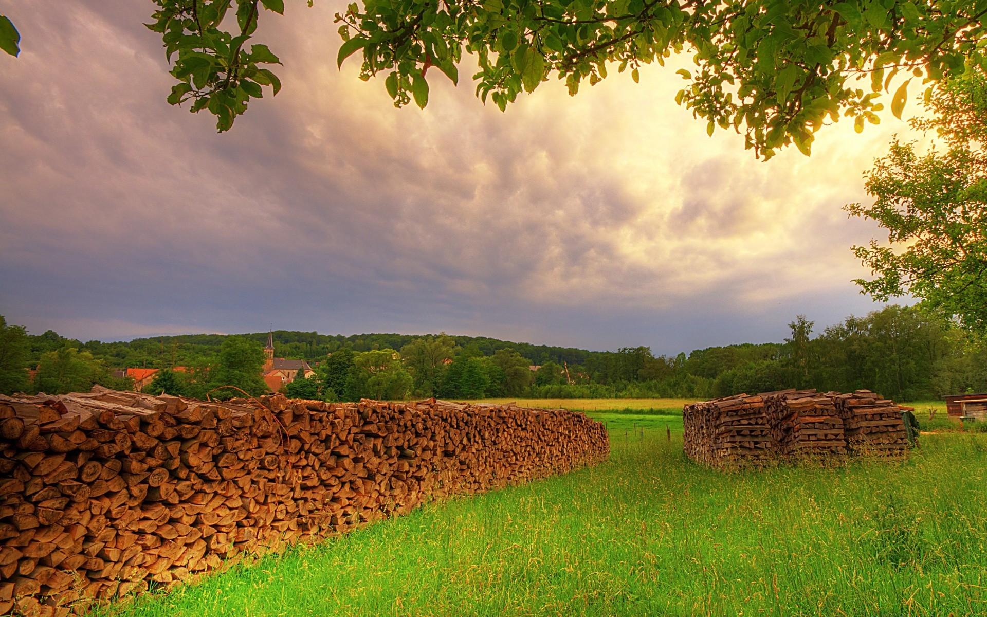 landschaft natur des ländlichen landwirtschaft im freien sommer landschaft landschaft himmel baum wachstum gras weide feld holz ackerland blatt bauernhof gutes wetter boden