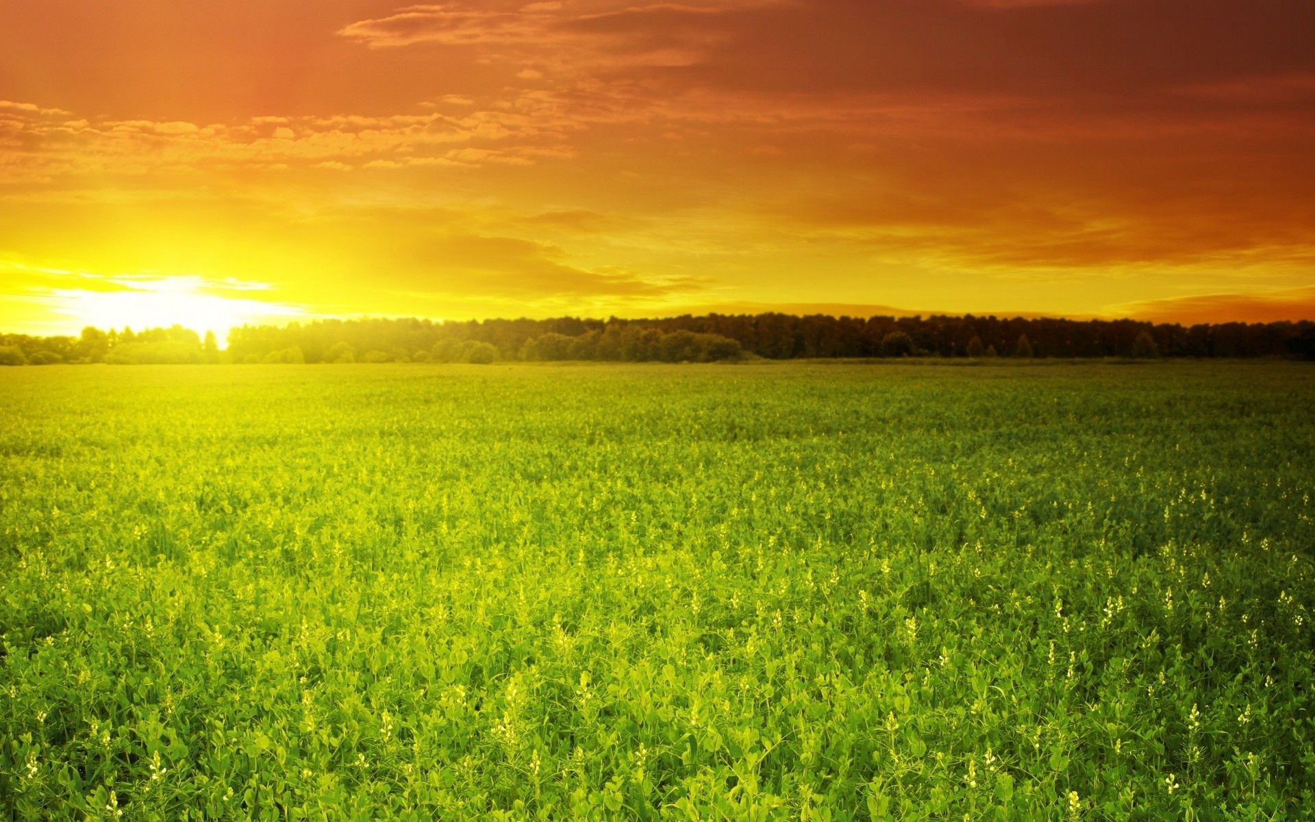 landschaft feld des ländlichen natur landschaft landwirtschaft sonne landschaft sommer gutes wetter himmel gras dämmerung bauernhof heuhaufen im freien hell flora weide umwelt