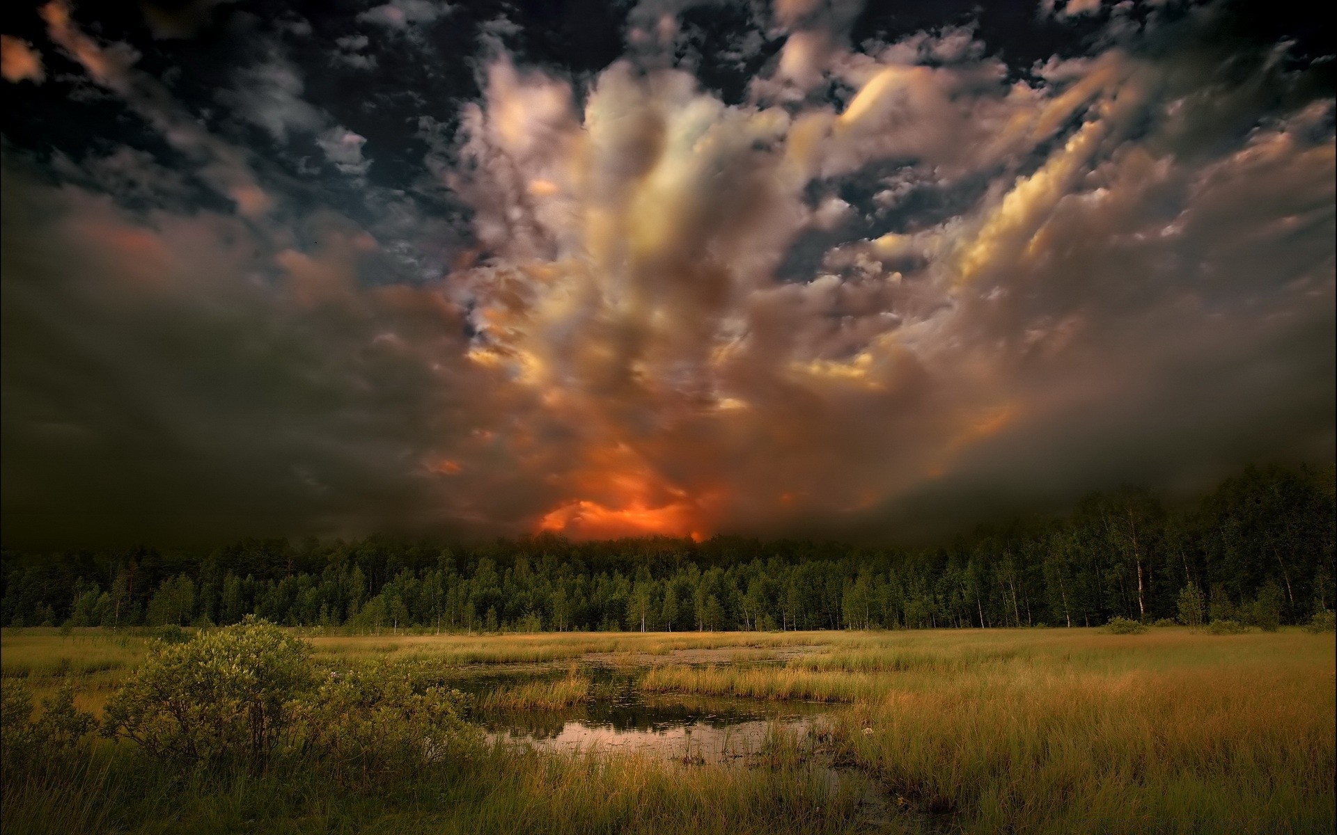 landscapes sunset landscape dawn outdoors sky tree nature evening sun dusk fair weather daylight