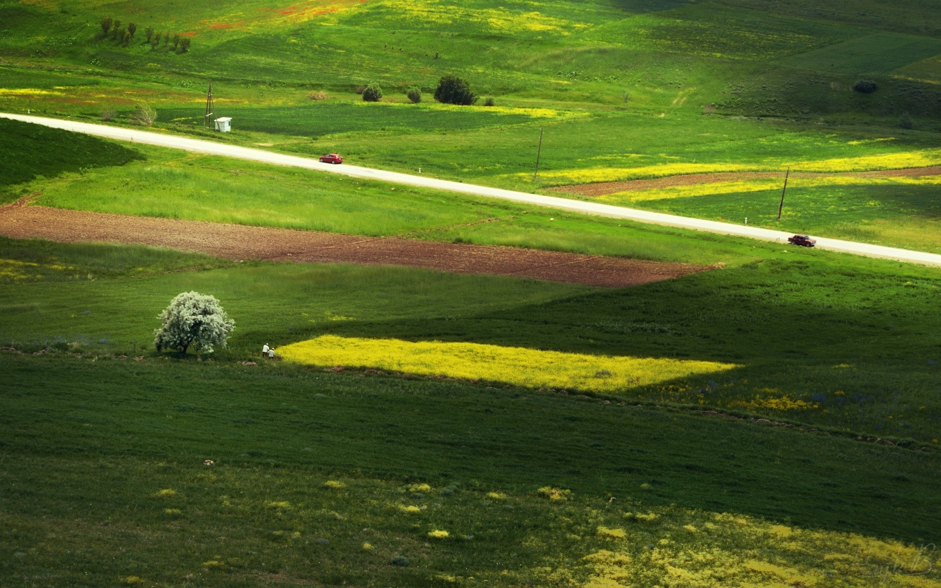 landschaft landschaft gras natur feld im freien heuhaufen sommer landwirtschaft bauernhof hügel