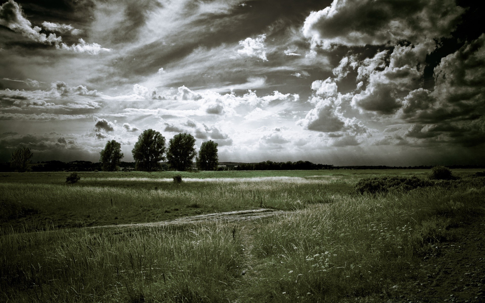 landscapes storm landscape nature sky weather rain outdoors sunset light tree dark