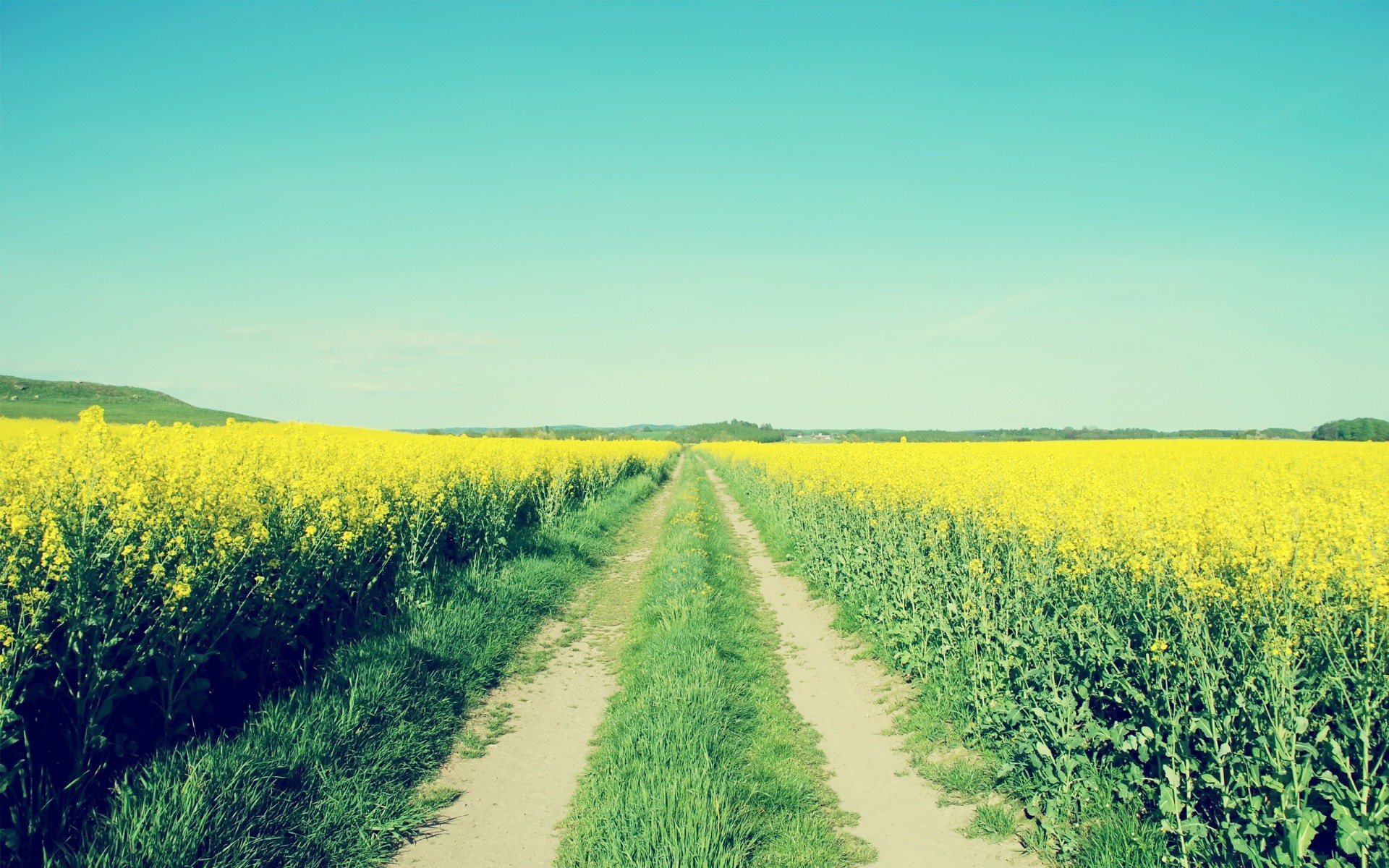 landschaft landwirtschaft feld landschaft ernte bauernhof des ländlichen natur landschaft himmel sommer im freien flora wachstum land horizont heuhaufen ackerland weide boden