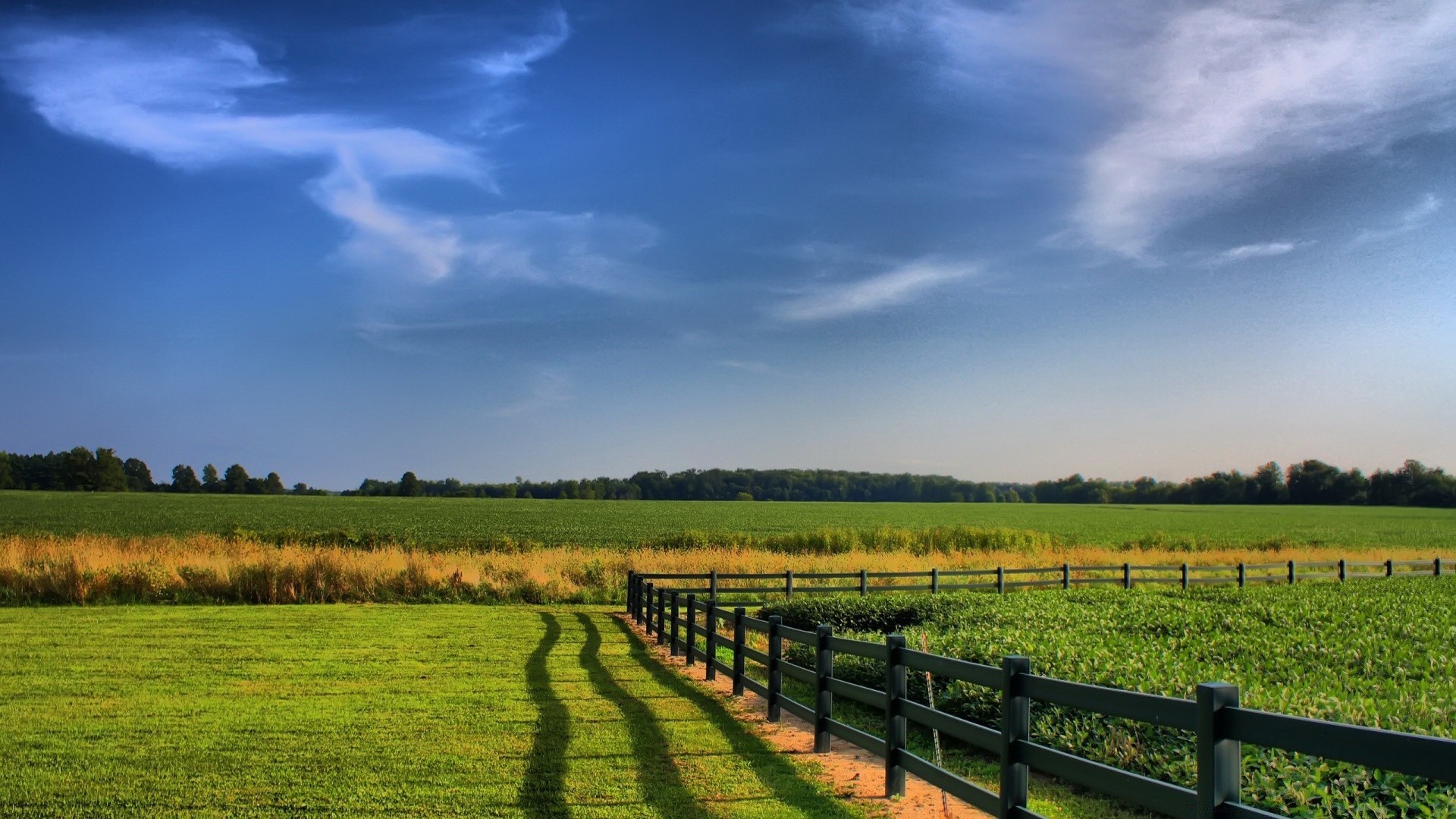 landscapes landscape rural agriculture farm countryside sky grass nature outdoors tree field pasture summer fence daylight hayfield cropland country farmland