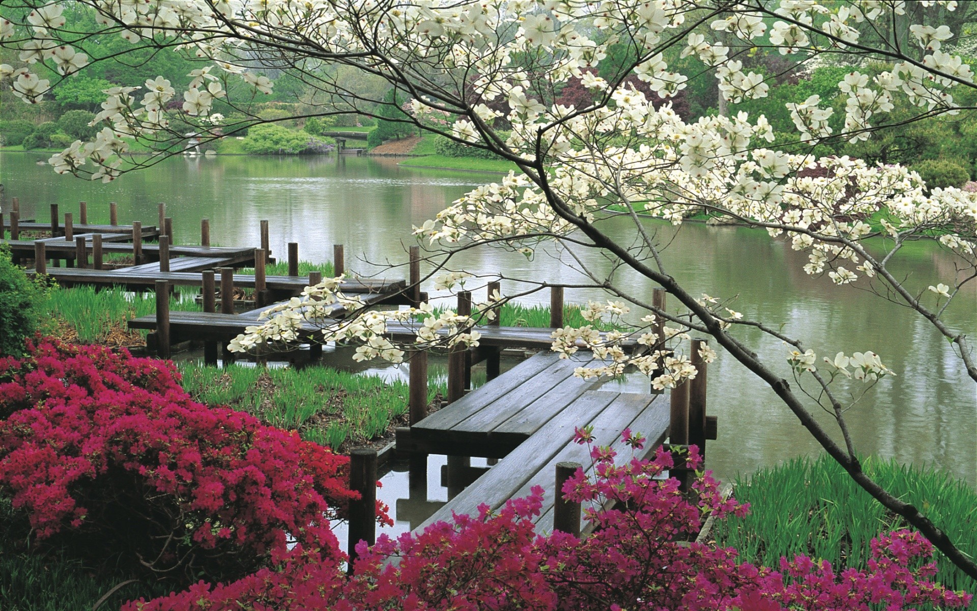 paisaje flor jardín árbol parque naturaleza paisaje flora estación floración al aire libre patio botánico verano arbusto color hoja rododendro césped casa