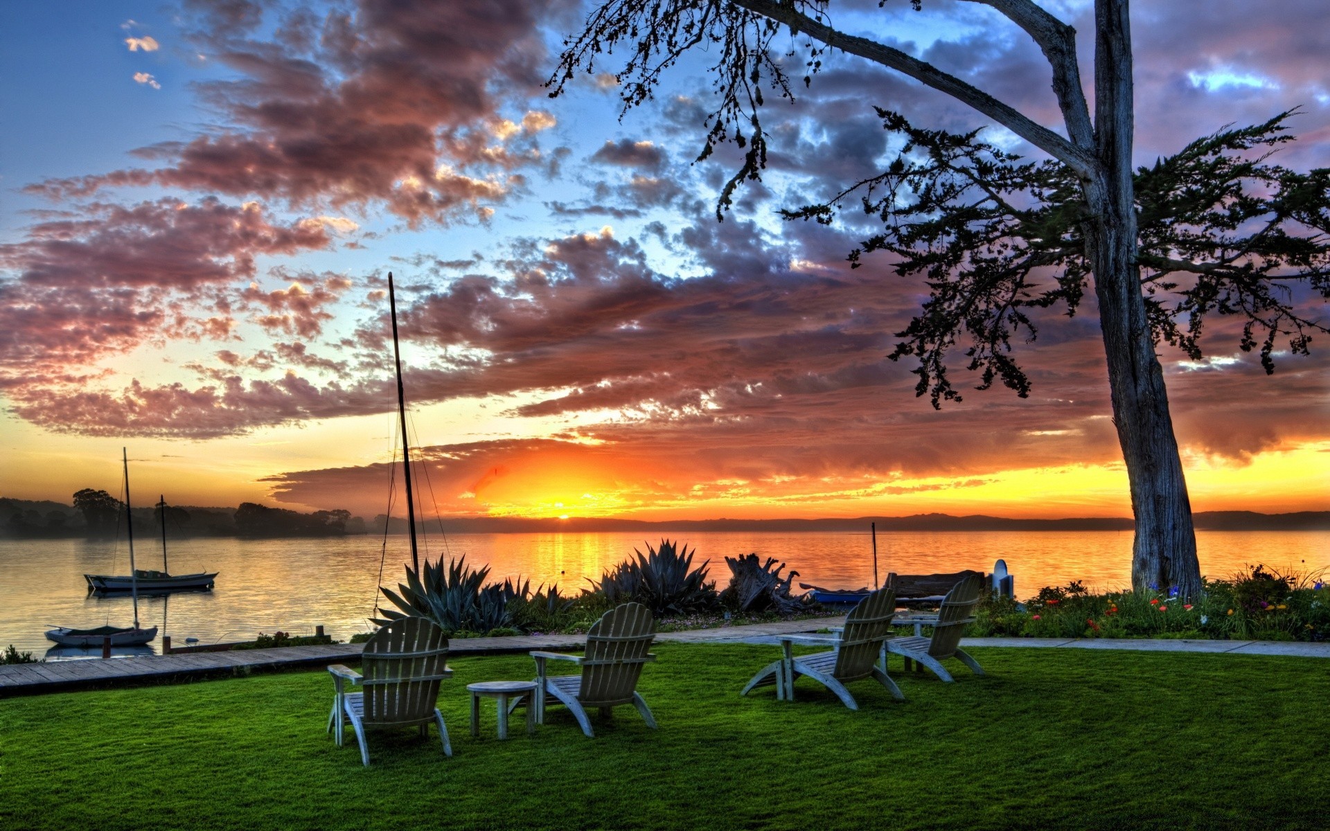 landscapes tree sunset dawn evening grass landscape sky outdoors sun nature dusk light summer travel lawn park fair weather