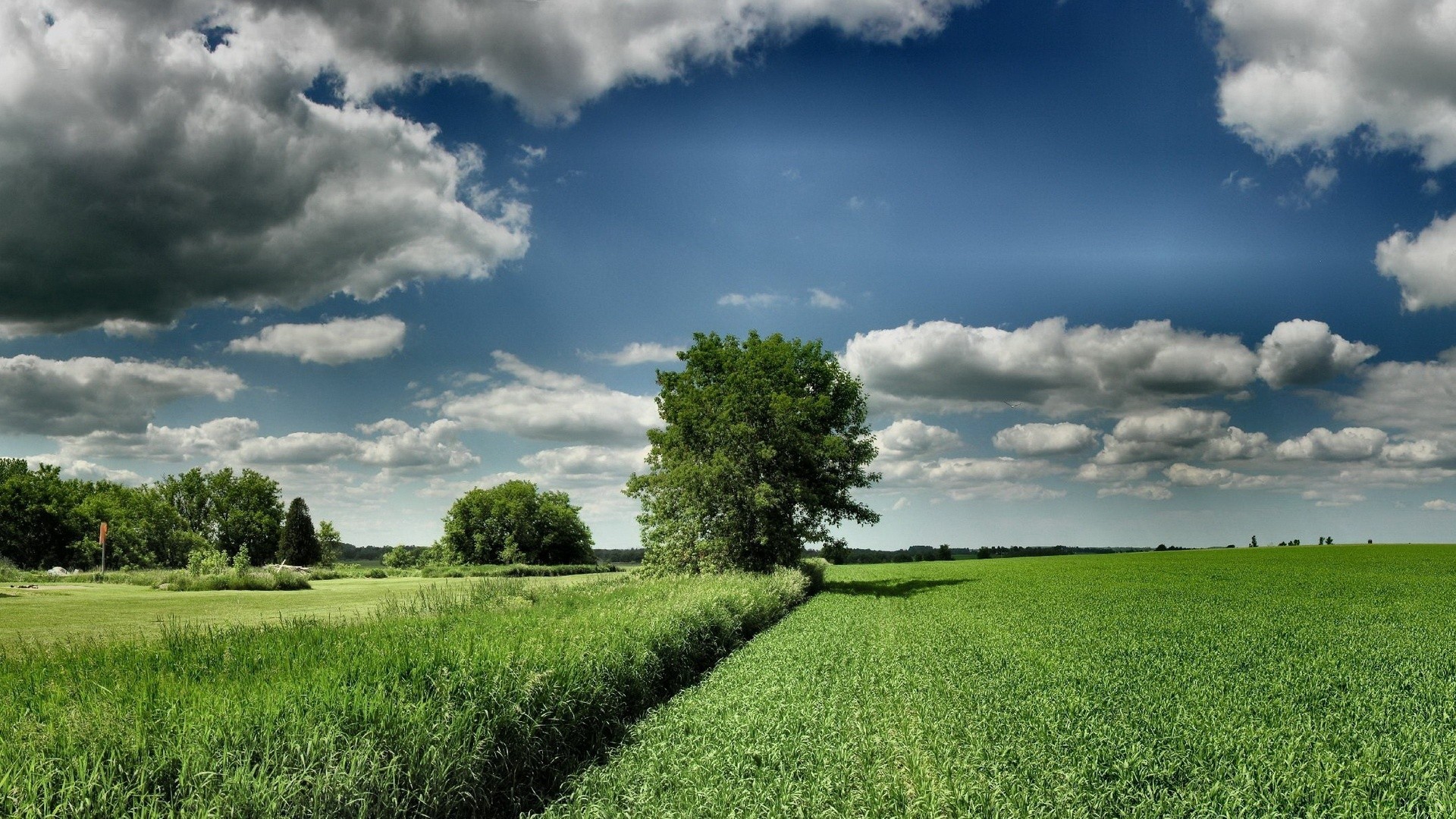 landscapes rural countryside nature field grass landscape sky agriculture summer outdoors farm pasture hayfield cloud tree idyllic fair weather horizon sun