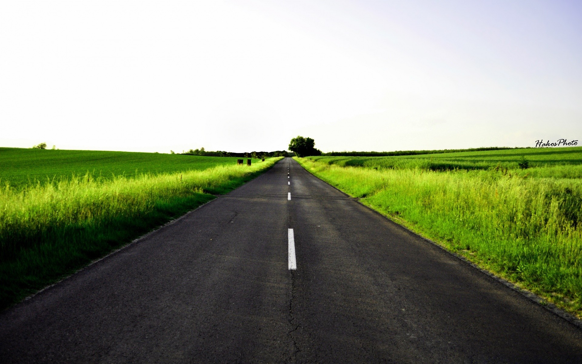 landscapes road landscape field rural agriculture guidance countryside grass farm country sky asphalt perspective highway hayfield nature horizon cropland