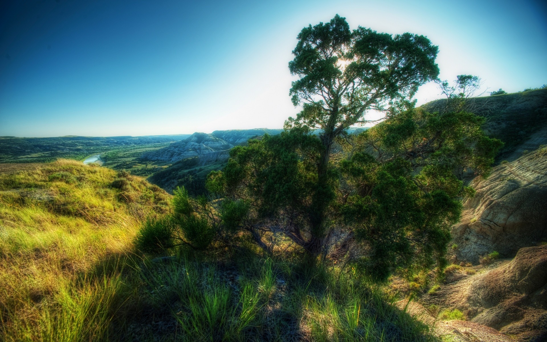 landschaft landschaft natur baum himmel berge reisen hügel gras im freien landschaftlich holz sommer rock wolke flora spektakel schön sonnenuntergang