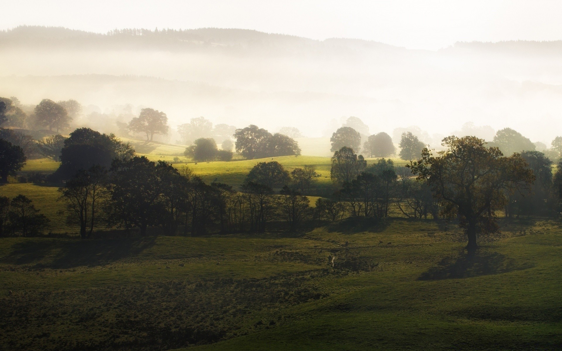 paysage paysage arbre brouillard colline aube nature champ brouillard coucher de soleil ciel agriculture automne ferme montagnes scénique foin herbe pâturage à l extérieur