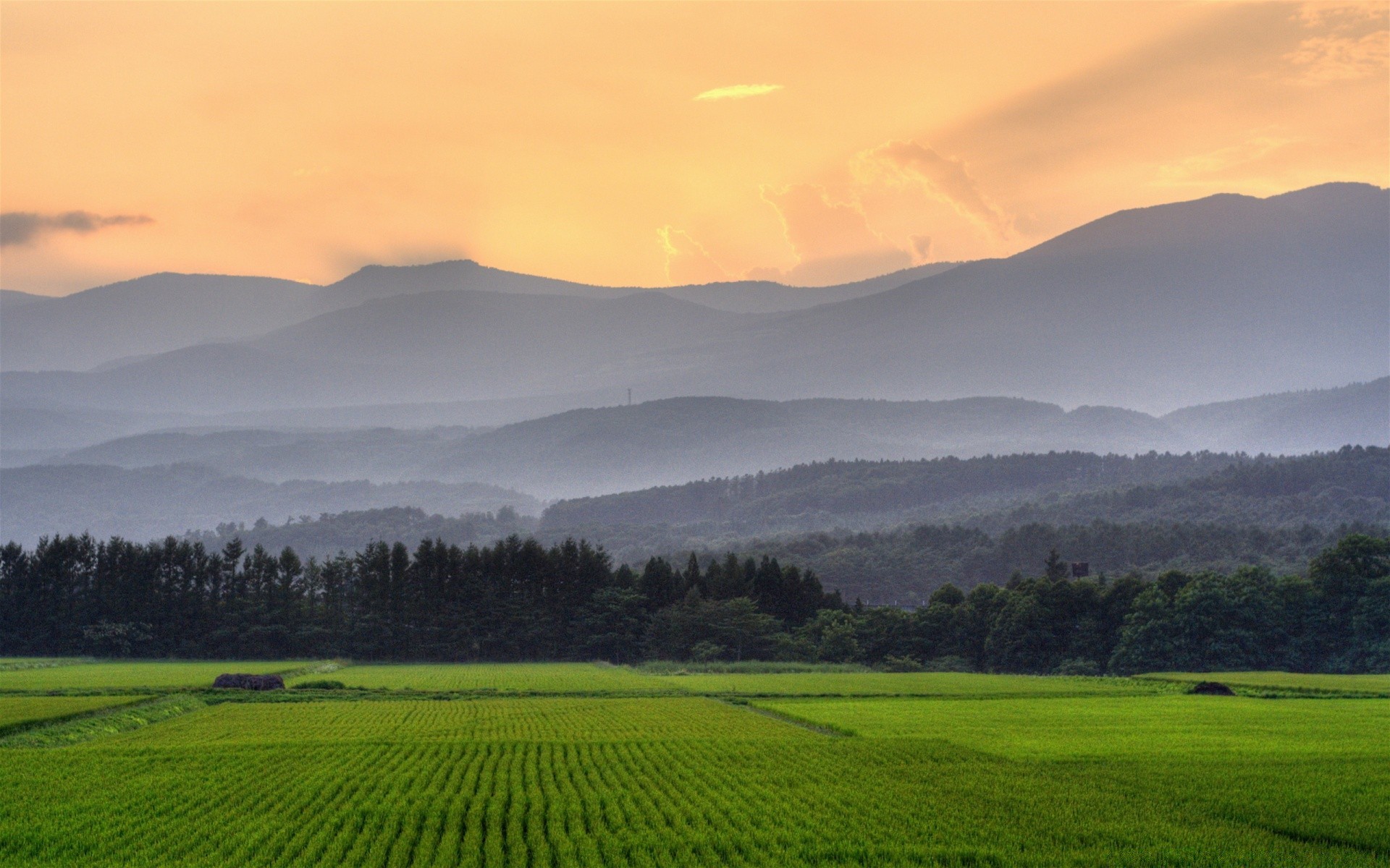 paisaje paisaje agricultura tierras cultivadas campo rural naturaleza campo granja al aire libre hierba árbol cielo amanecer pasto tierras de cultivo verano puesta de sol crecimiento viajes