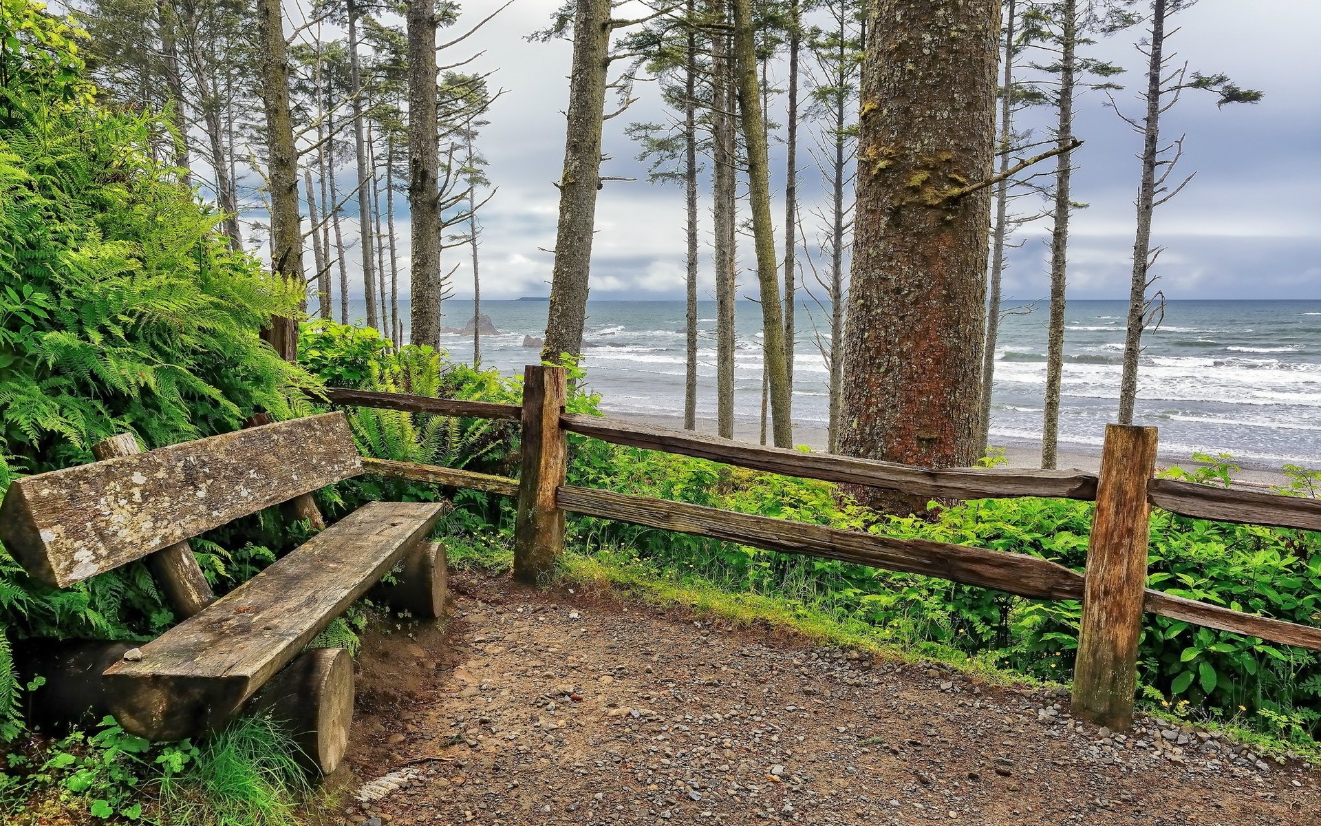 landscapes wood nature tree outdoors wooden landscape leaf water summer grass guidance travel flora scenic rural park fence bench daylight