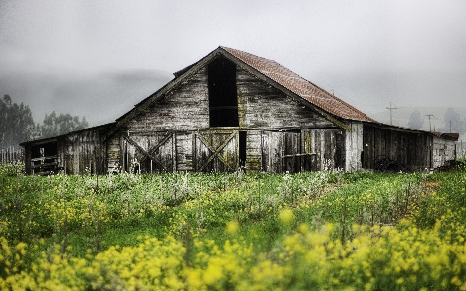 landscapes barn house farm agriculture building field country farmhouse rural landscape old wood