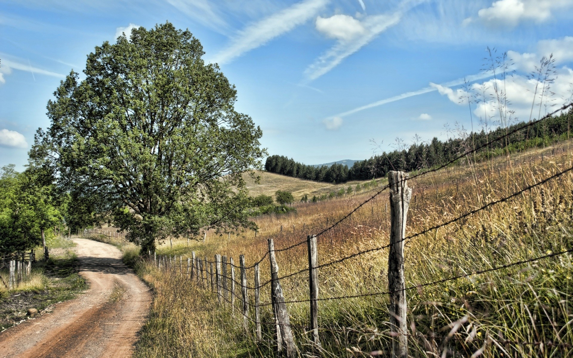 landscapes landscape nature tree sky grass fence field wood agriculture rural outdoors hayfield countryside farm summer country road flora environment