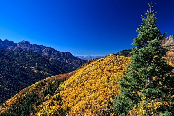 Mountain peaks in the rays of the sun and blue sky